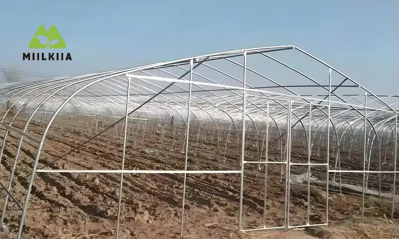 تراجع الساخنة المجلفن