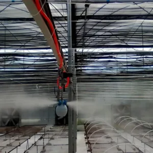 Equipos de control de temperatura: maximizar la salud de las plantas