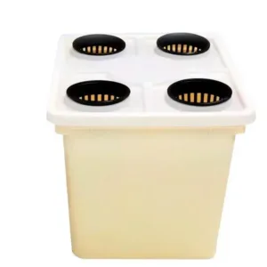 Cubos holandeses