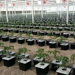 Sistema de cubo holandés: soluciones para agricultura sostenible