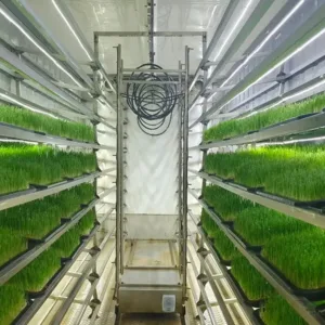Fábrica de plantas de contenedores de forraje