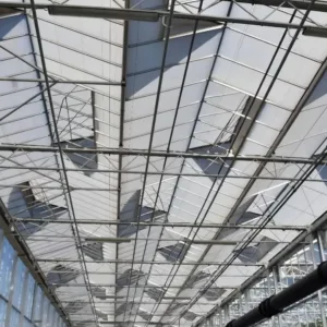 El modelo holandés de invernadero en la agricultura moderna