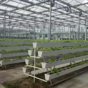Sistemas de cultivo en sustrato: mejora del rendimiento para cosechas deliciosas