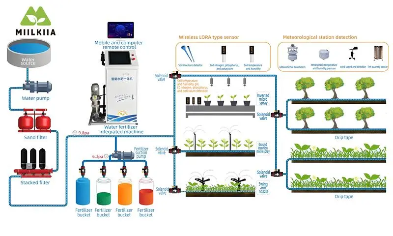 Fertilização em estufa multi-span