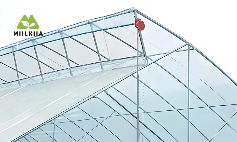 Ventilação de estufa em dente de serra