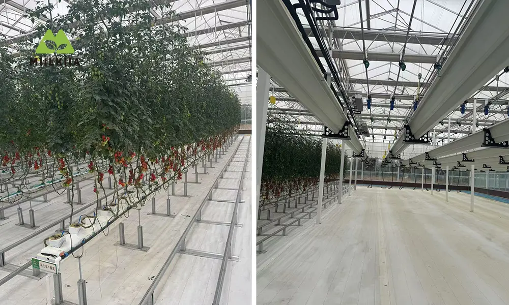growing system
