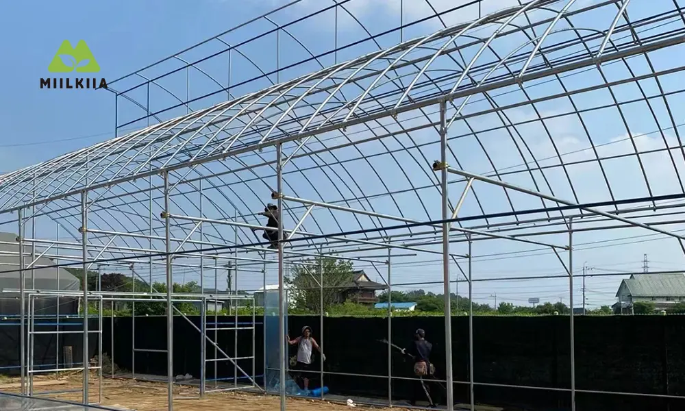 Estrutura de estufa em dente de serra