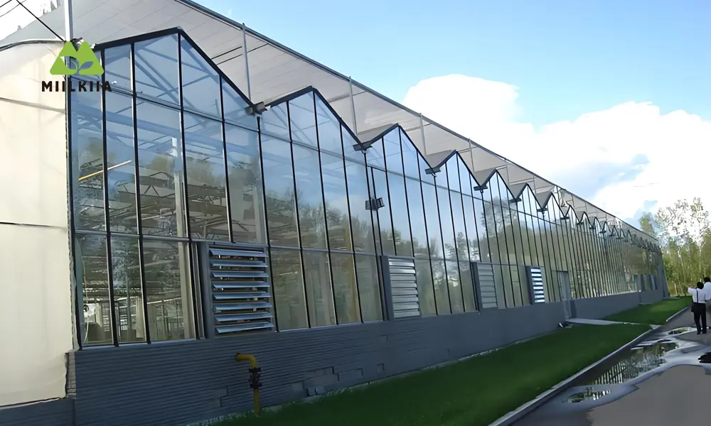 Shading Greenhouse