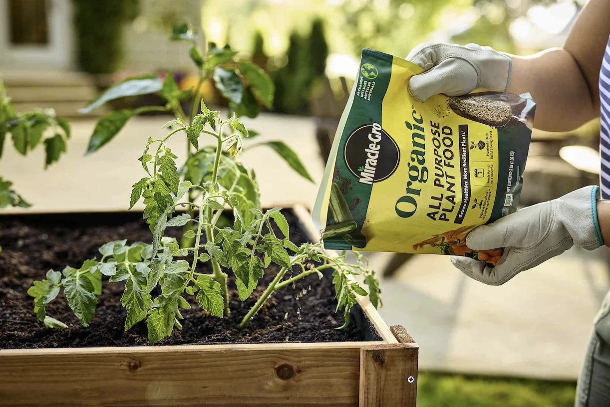 Qual é o melhor solo para jardinagem em contêineres?