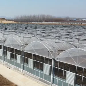 Customized Durable Multi-Span Film Greenhouse for Vegetables and Flowers