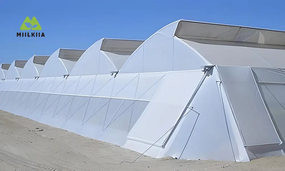 Sawtooth greenhouse film