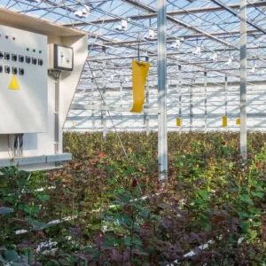 Smart IoT Systems: Efficient Agricultural Management