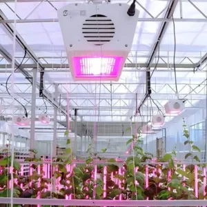 Lighting Technology For Healthier Plants And Higher Yields