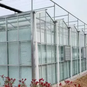 PC Sheet Greenhouse – Durable, Energy-Saving Greenhouse for Commercial Growing