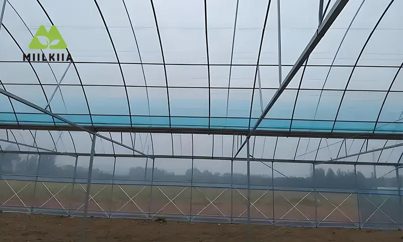 high tunnel greenhouse side ventilation