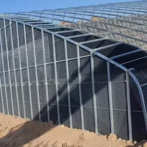 Sunlight Greenhouse for Cold Climate – Energy-Efficient Solar Greenhouse for Vegetable Farming