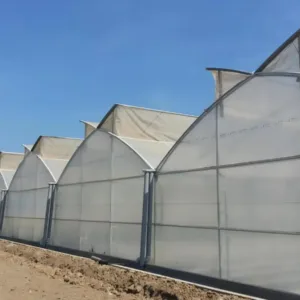 Gothic greenhouse: Innovative Design for Efficient Cultivation