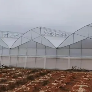 Premium Sawtooth Greenhouse: Optimizing Growing Conditions