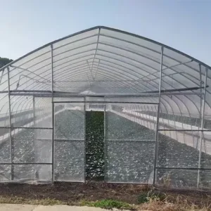 Wind-Resistant Tunnel Greenhouse – Ground-Inserted Structure for Efficient Backyard & Farm Use