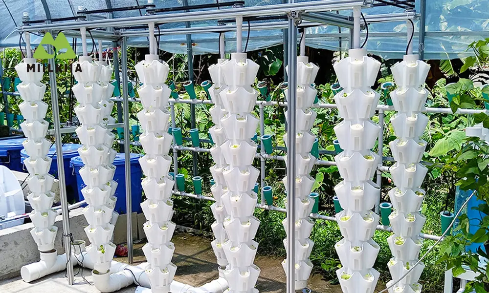 Hydroponic Rainfall Petal Tower (4)