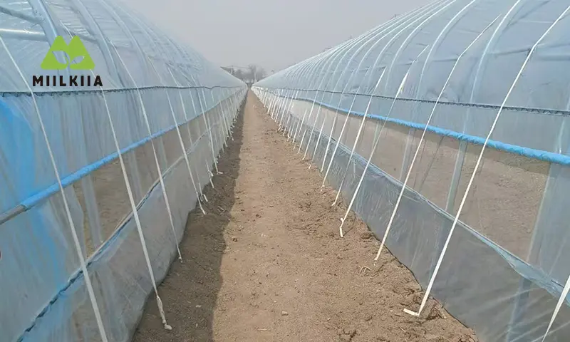 hoop house side ventilation