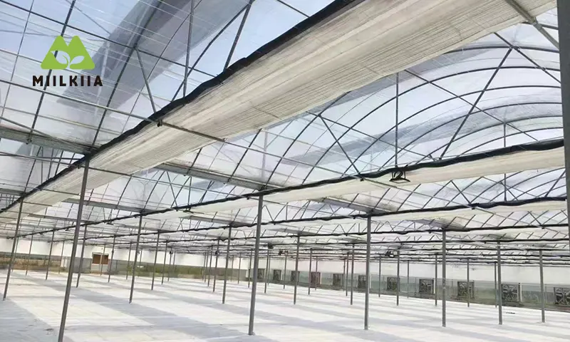 Multi-Span Greenhose internal shading