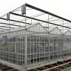 High Light Transmission Glass Greenhouse – Venlo Structure for Commercial Agriculture and Research Use
