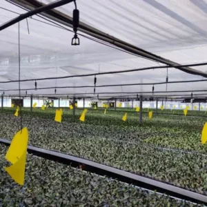 Irrigation Systems: Essential Tools for Effective Water Management