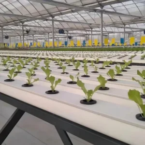 Revolutionary Black and White Hydroponic Channels