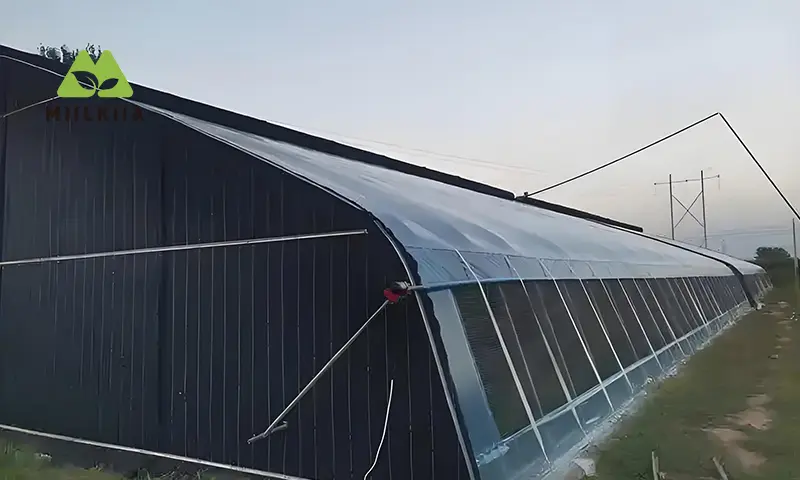 greenhouse side window