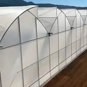 Multi-Span Sawtooth Film Greenhouse – Superior Ventilation for Hot Climate Agriculture