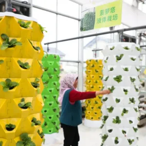 Vertical hydroponic towers