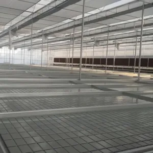 Ebb and Flow System: Efficient Hydroponic Farming