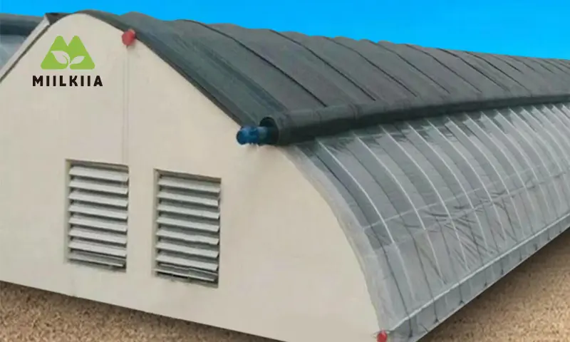 greenhouse side  ventilatiion