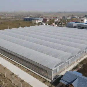Robust Tunnel Greenhouses: Transforming Vegetable Agriculture