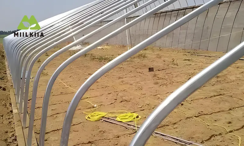 sunshine Greenhouse oval pipe