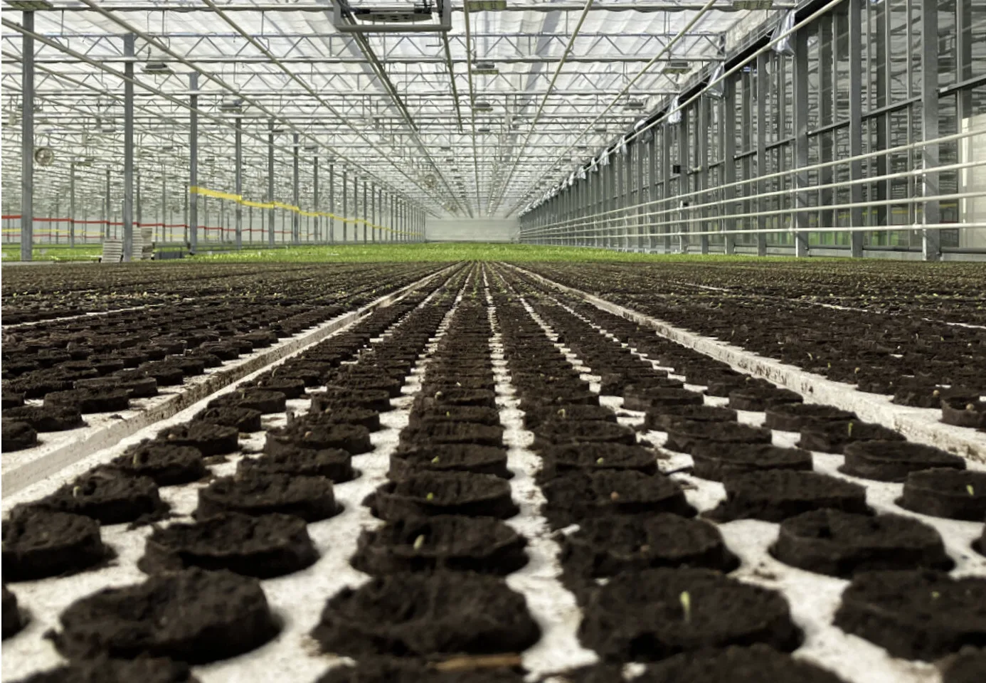 What Are the Key Components, Main Advantages, and Practical Applications of Substrate Culture?